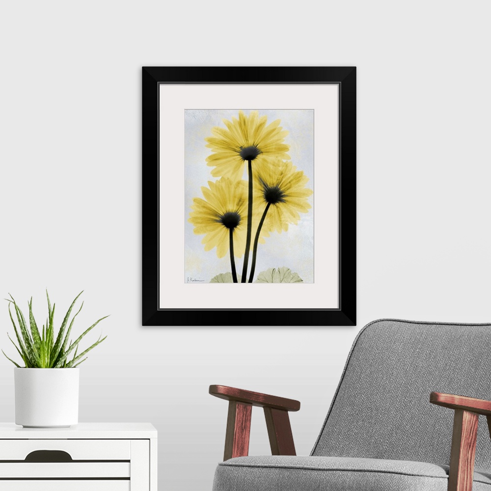 A modern room featuring Vertical x-ray photograph of three gerbera flowers against a faded light background.