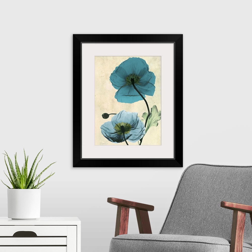 A modern room featuring Vertical x-ray photograph of two Icelandic poppies against a faded earth toned background.