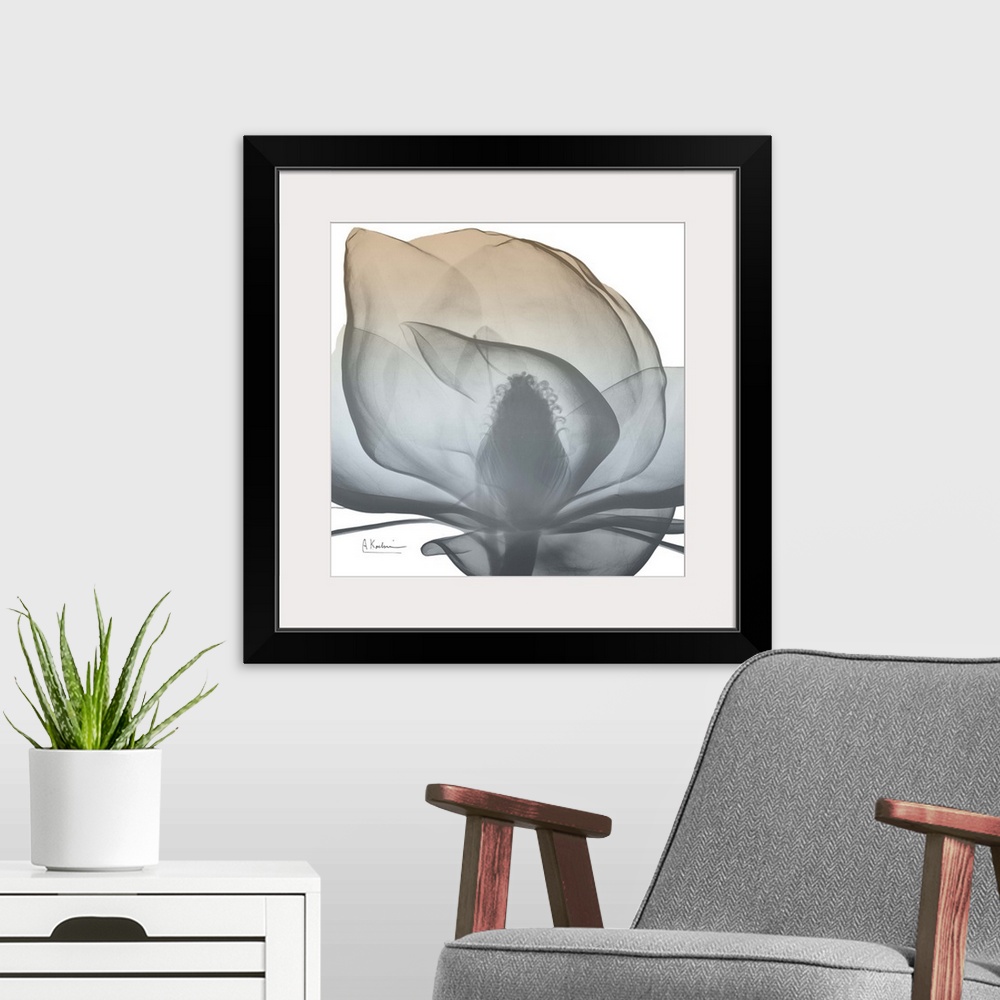 A modern room featuring Contemporary home decor artwork of an x-ray photograph of a flower.