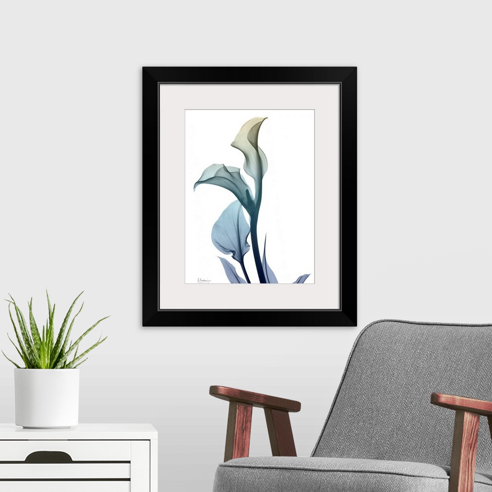 A modern room featuring Ombre Expression 1_Calla Lily