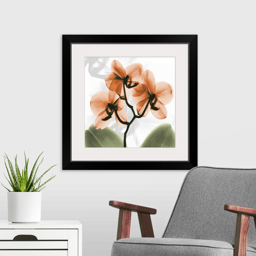 A modern room featuring Orange Orchid x-ray photography