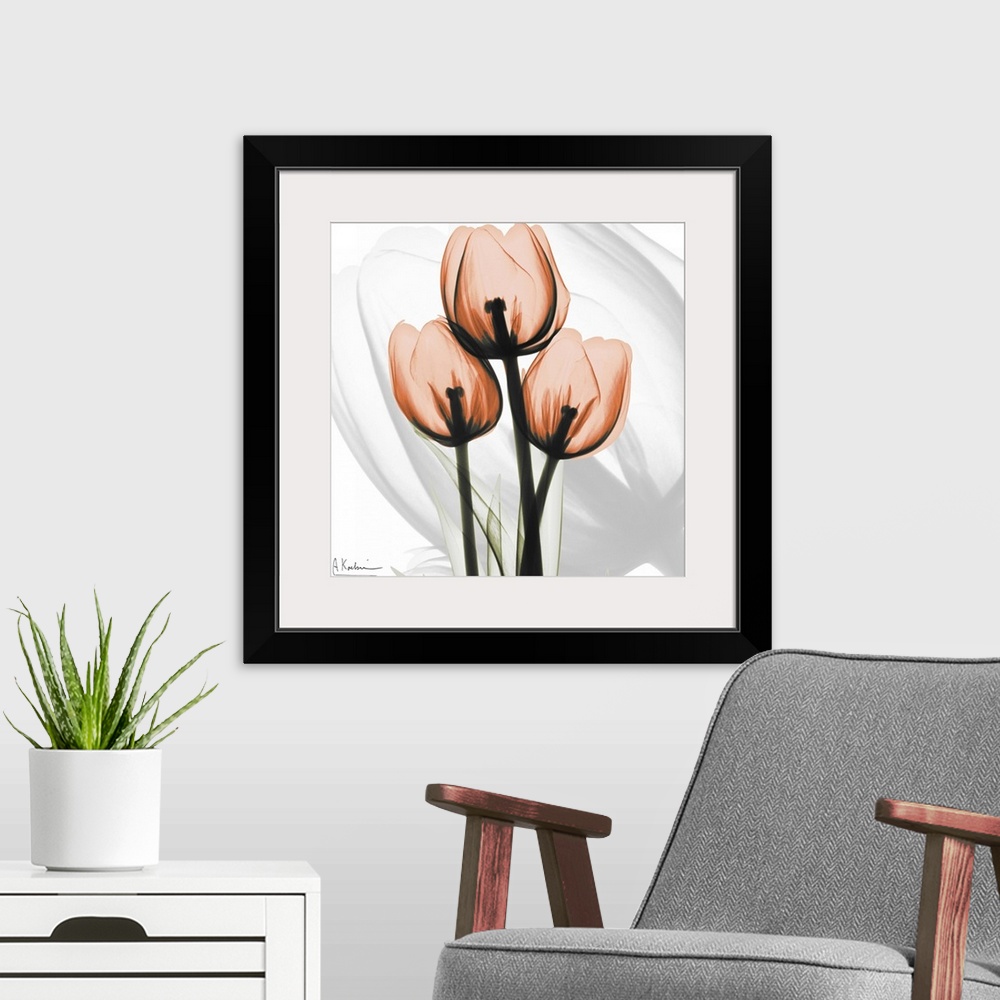 A modern room featuring Orange Tulips x-ray photography