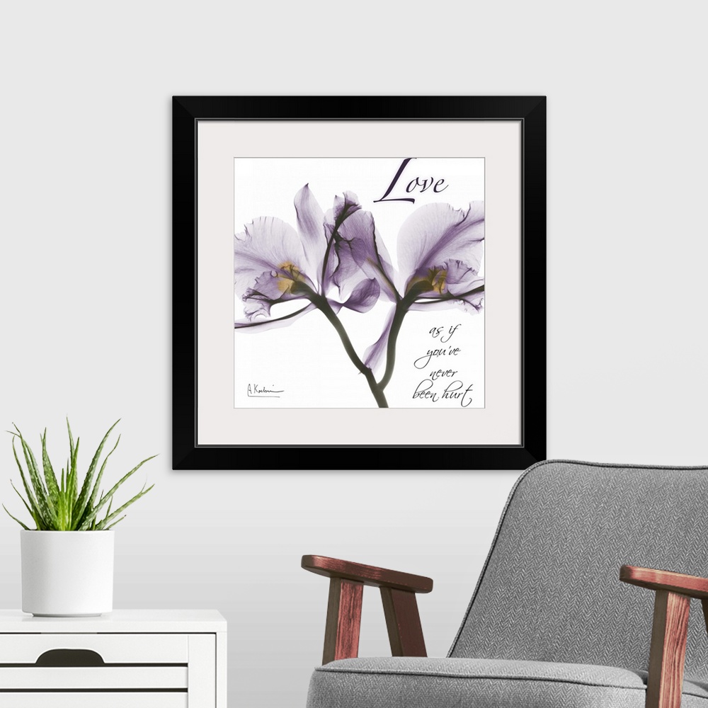 A modern room featuring Orchid Love x-ray photography