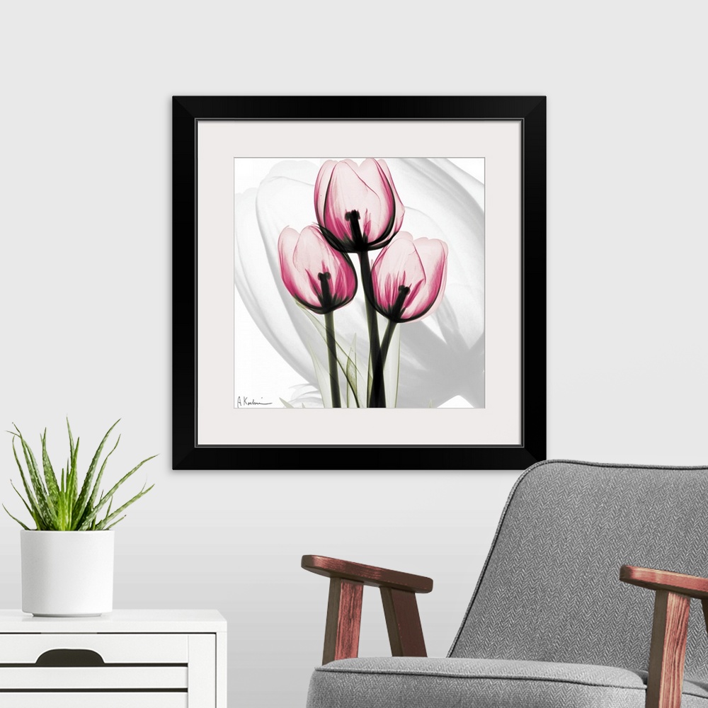 A modern room featuring Pink Tulips x-ray photography