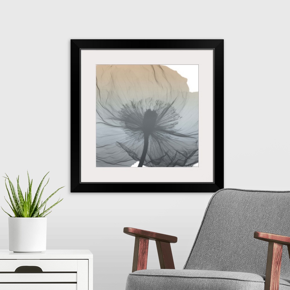 A modern room featuring Contemporary home decor artwork of an x-ray photograph of a flower.