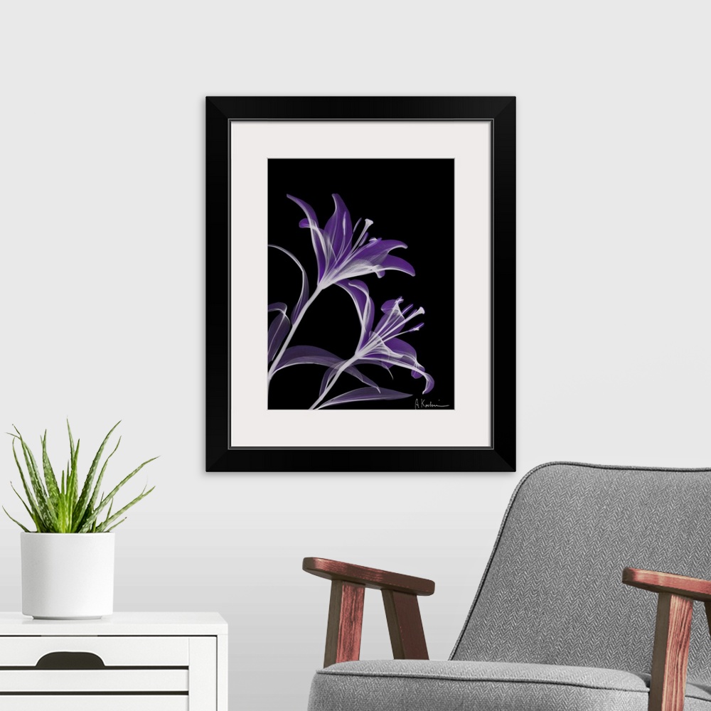 A modern room featuring Vertical x-ray photograph of lilies, against a dark background.