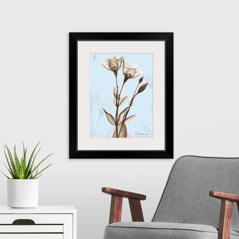 A modern room featuring Rose x-ray floral photograph
