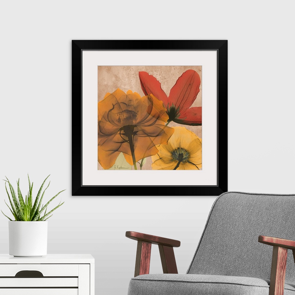 A modern room featuring X-Ray photography of garden flowers in soft warm tones.