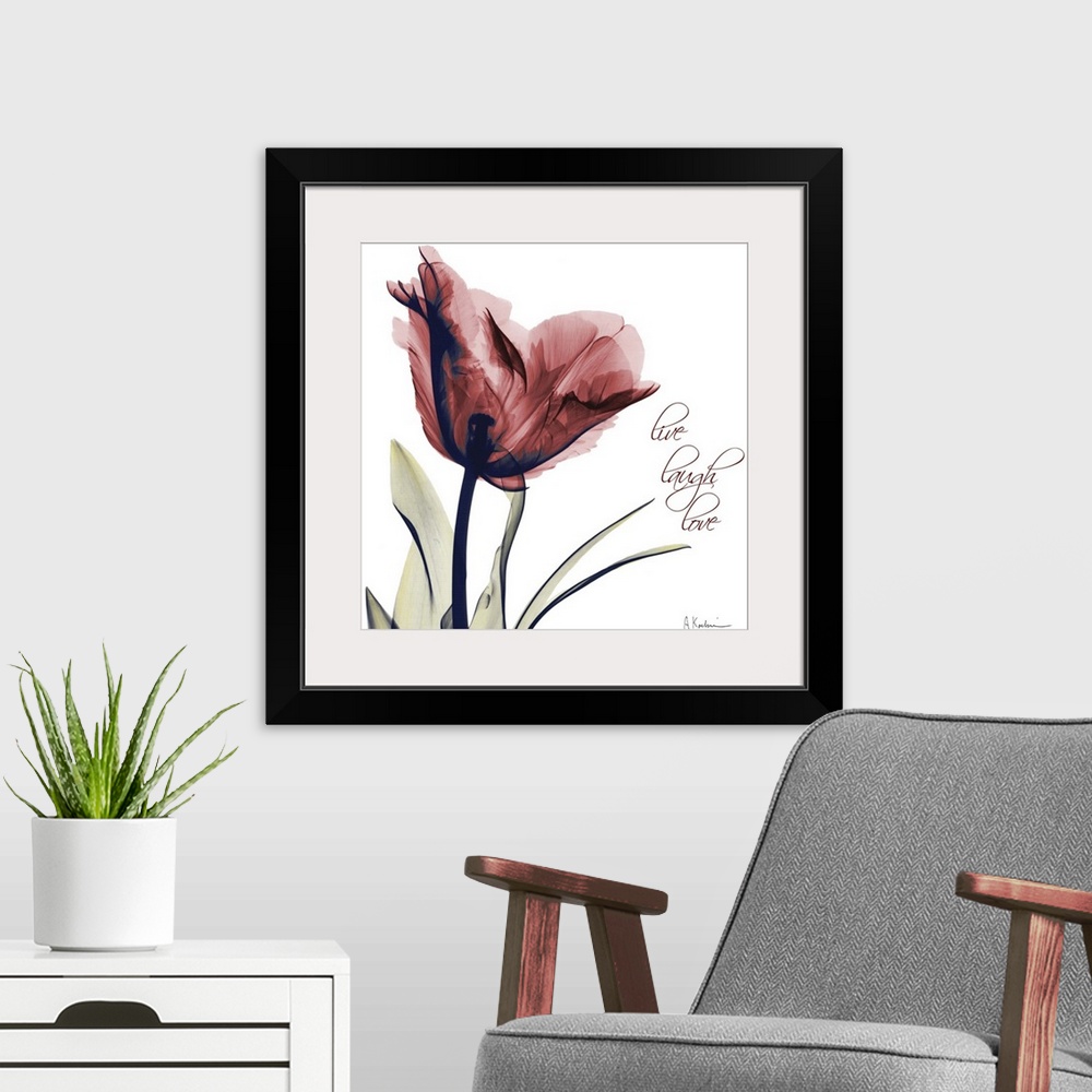 A modern room featuring Tulip Live, Laugh, Love x-ray photography