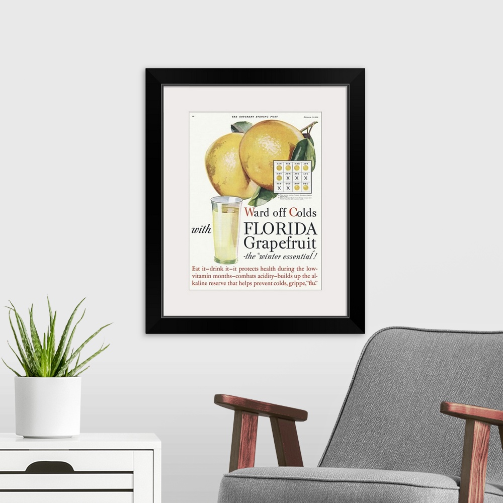 A modern room featuring Florida Grapefruit Advertisement