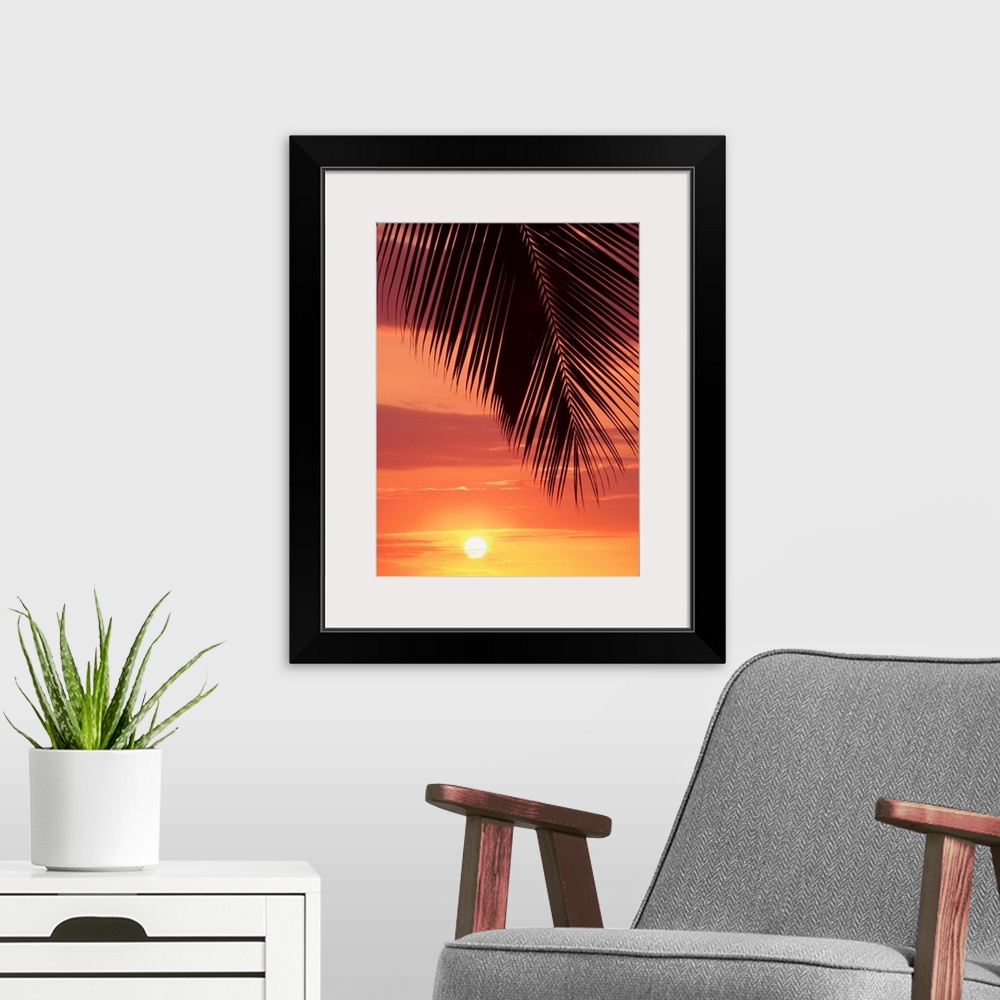 A modern room featuring Hawaii, Silhouette Of Palm Frond Against Orange Sunset