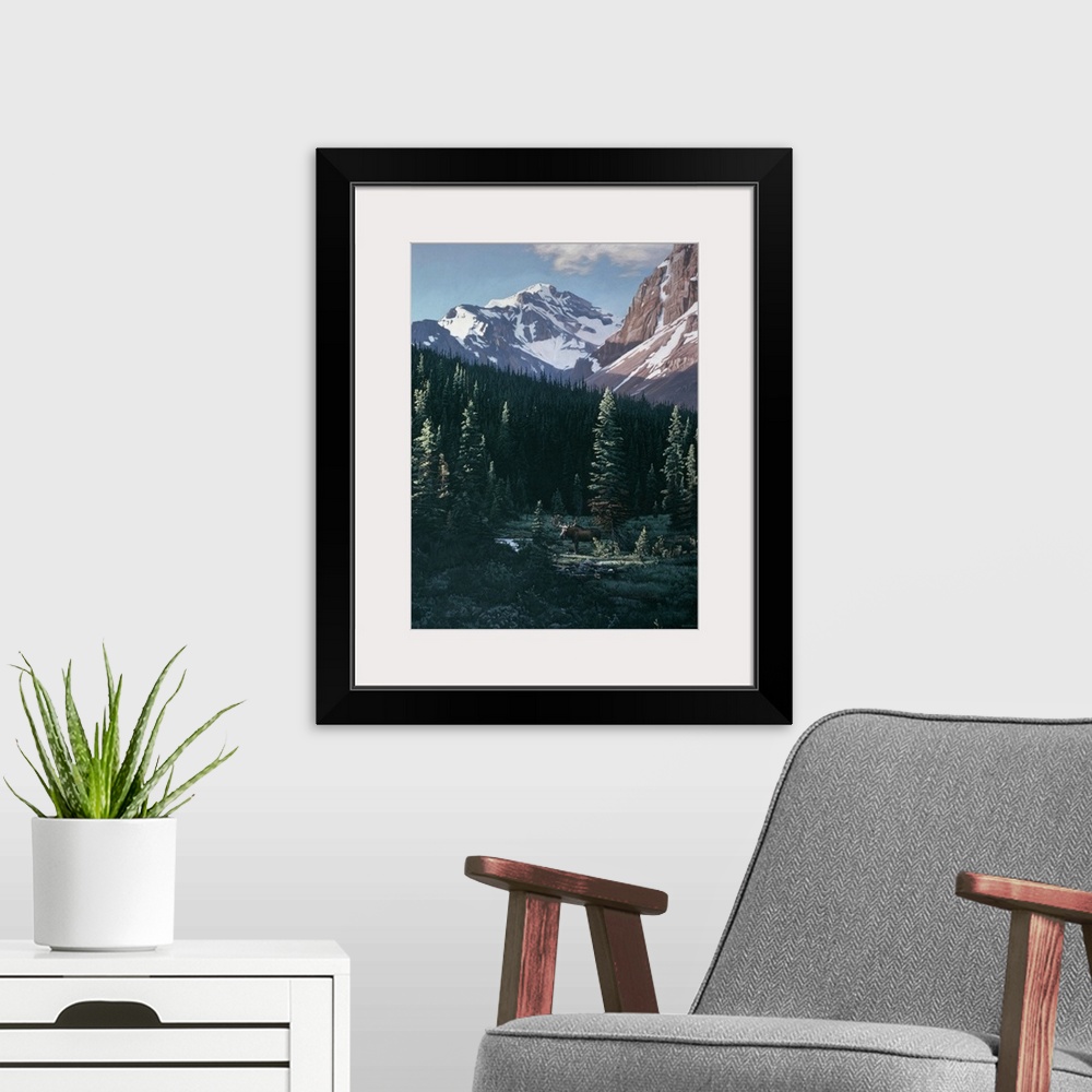 A modern room featuring A bull moose standing in the open meadow with trees surrounding him and snow covered mountain ran...