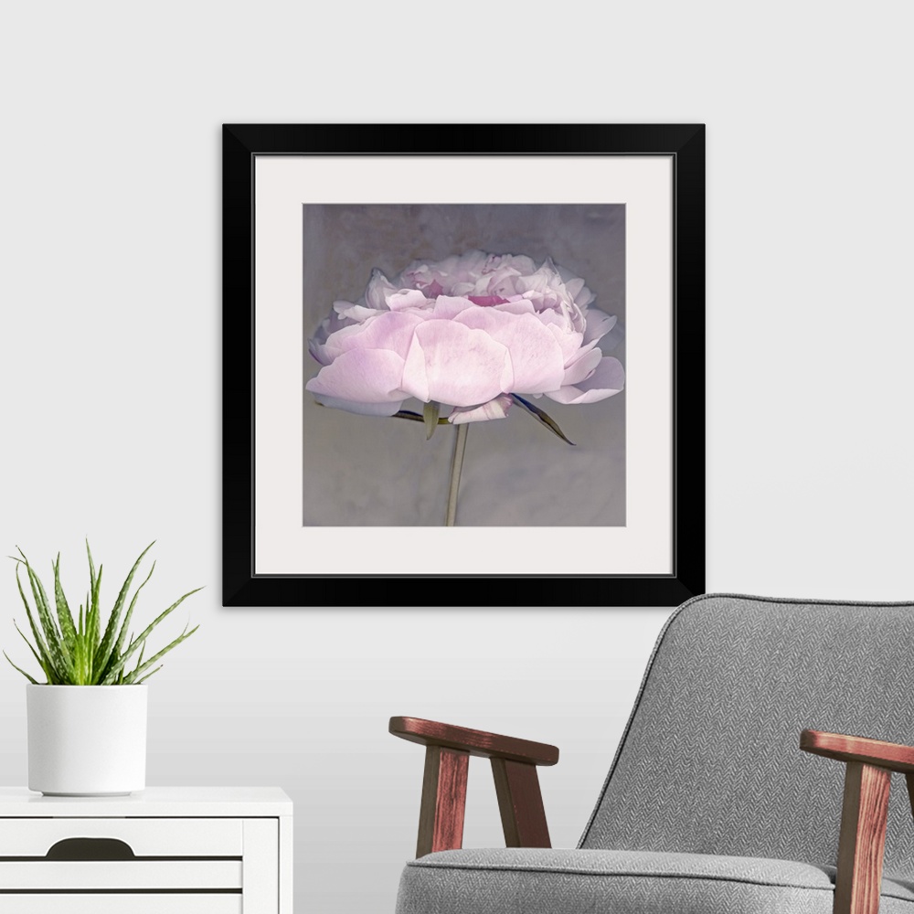 A modern room featuring peonyflower