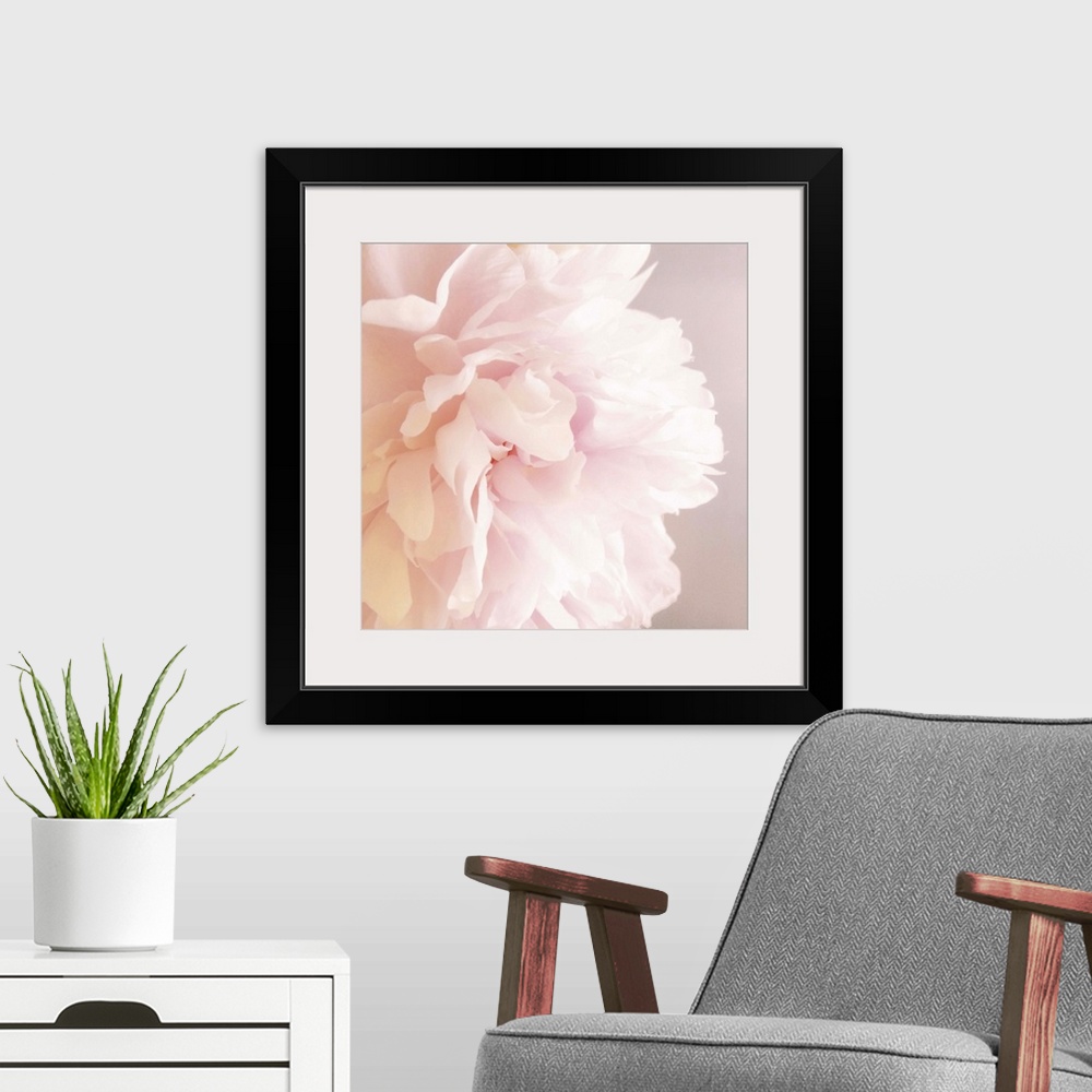 A modern room featuring Peony V