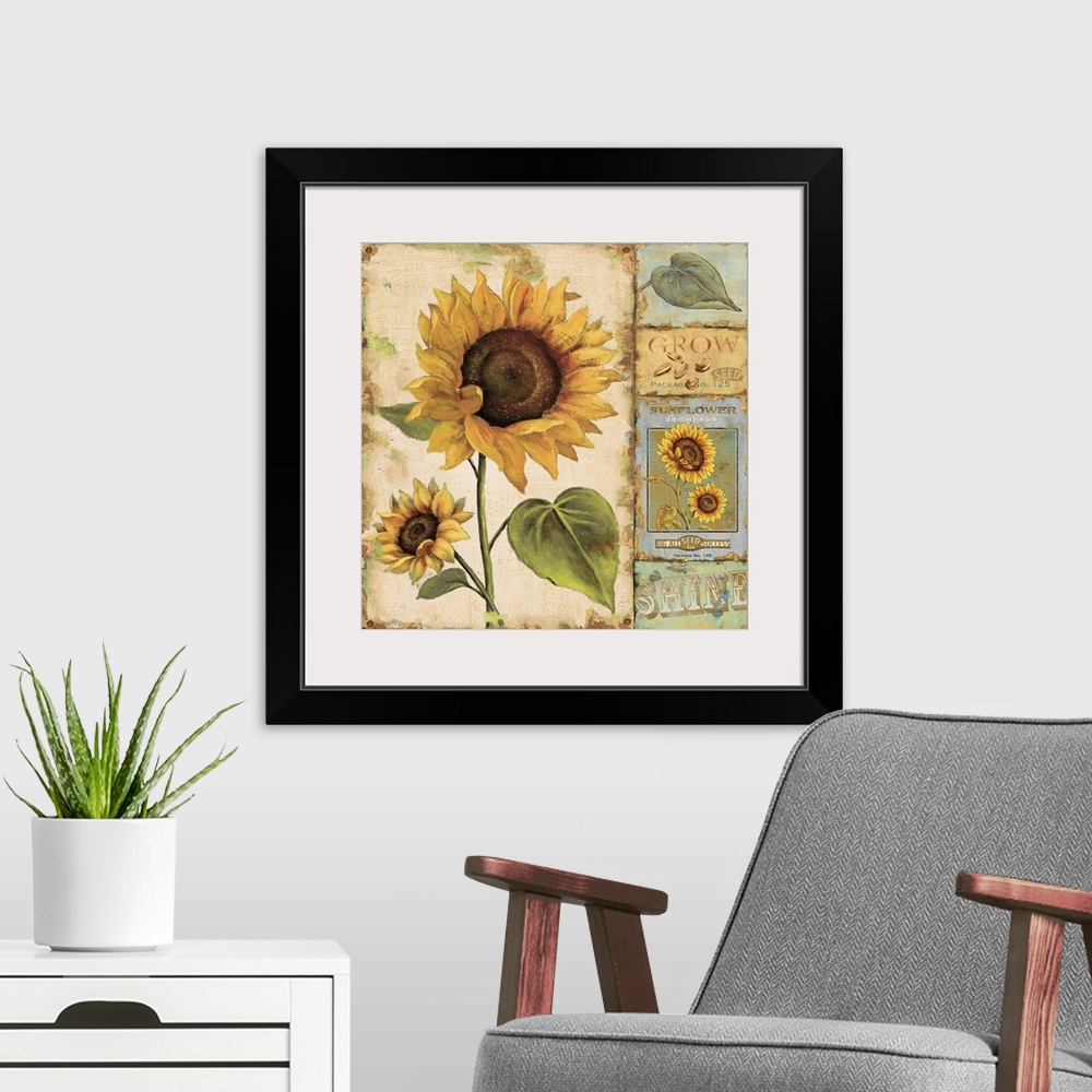 A modern room featuring Retro wall docor featuring vintage illustrations of sunflowers, leaves, seeds, and seed packets.