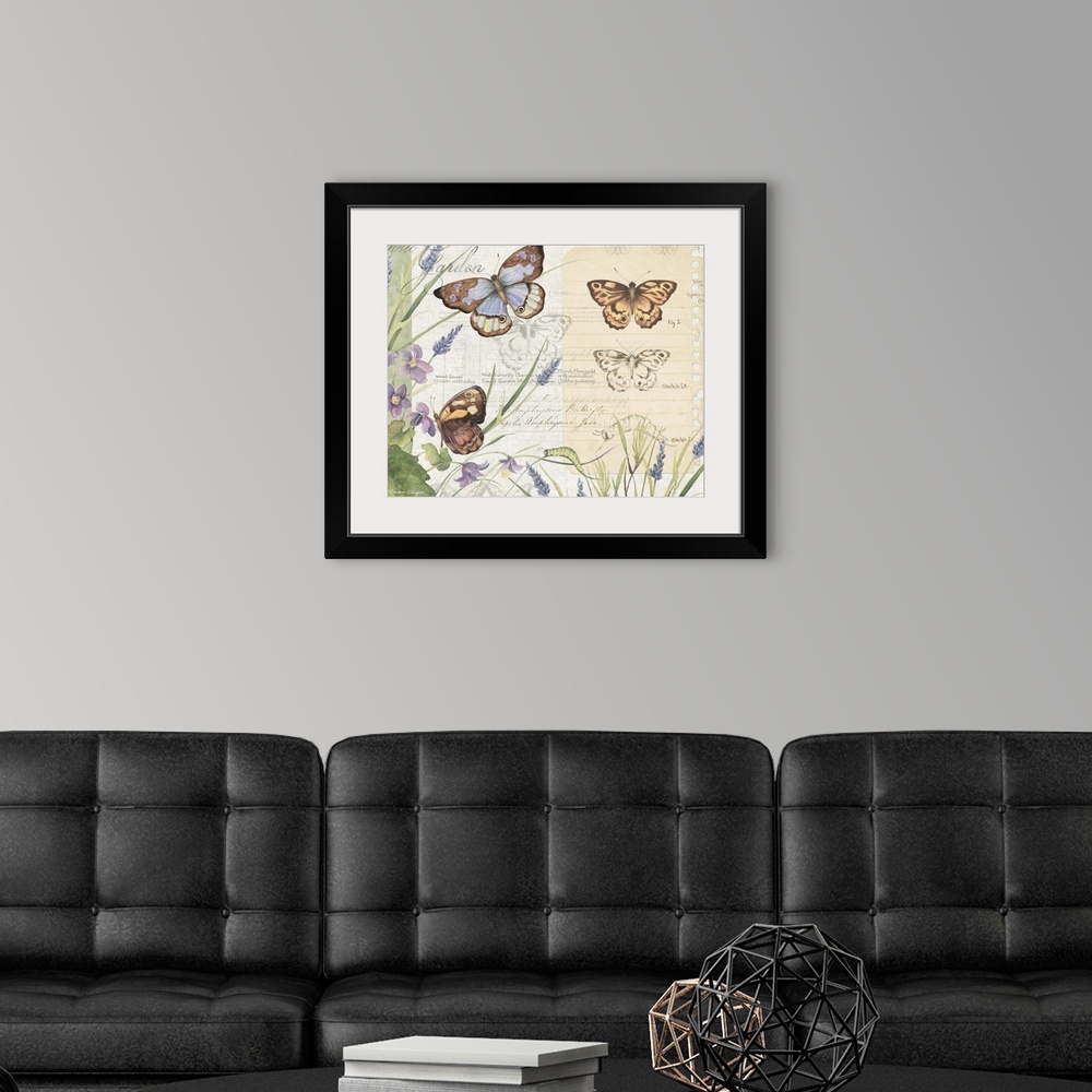 A modern room featuring Beautiful botanical rendering of butterflies celebrate nature.