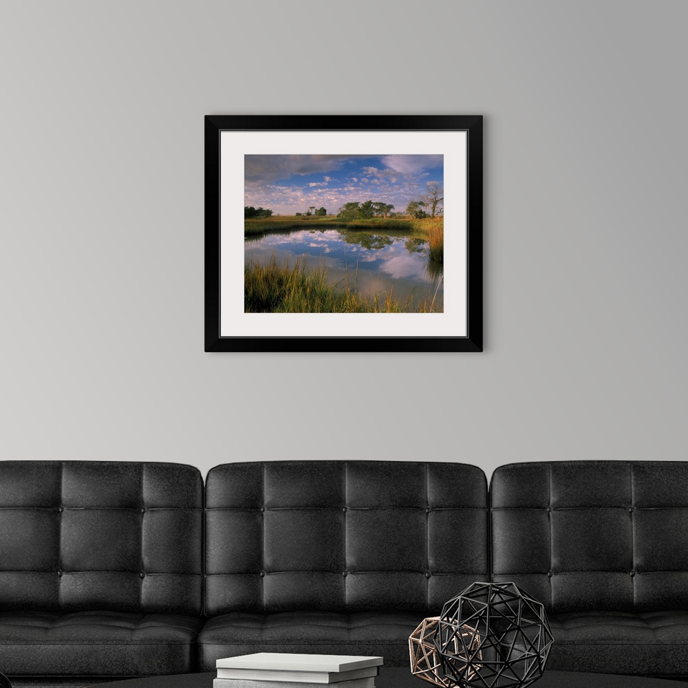 A modern room featuring Georgia Tybee Island, Reflection of clouds on tidal pond in morning light.