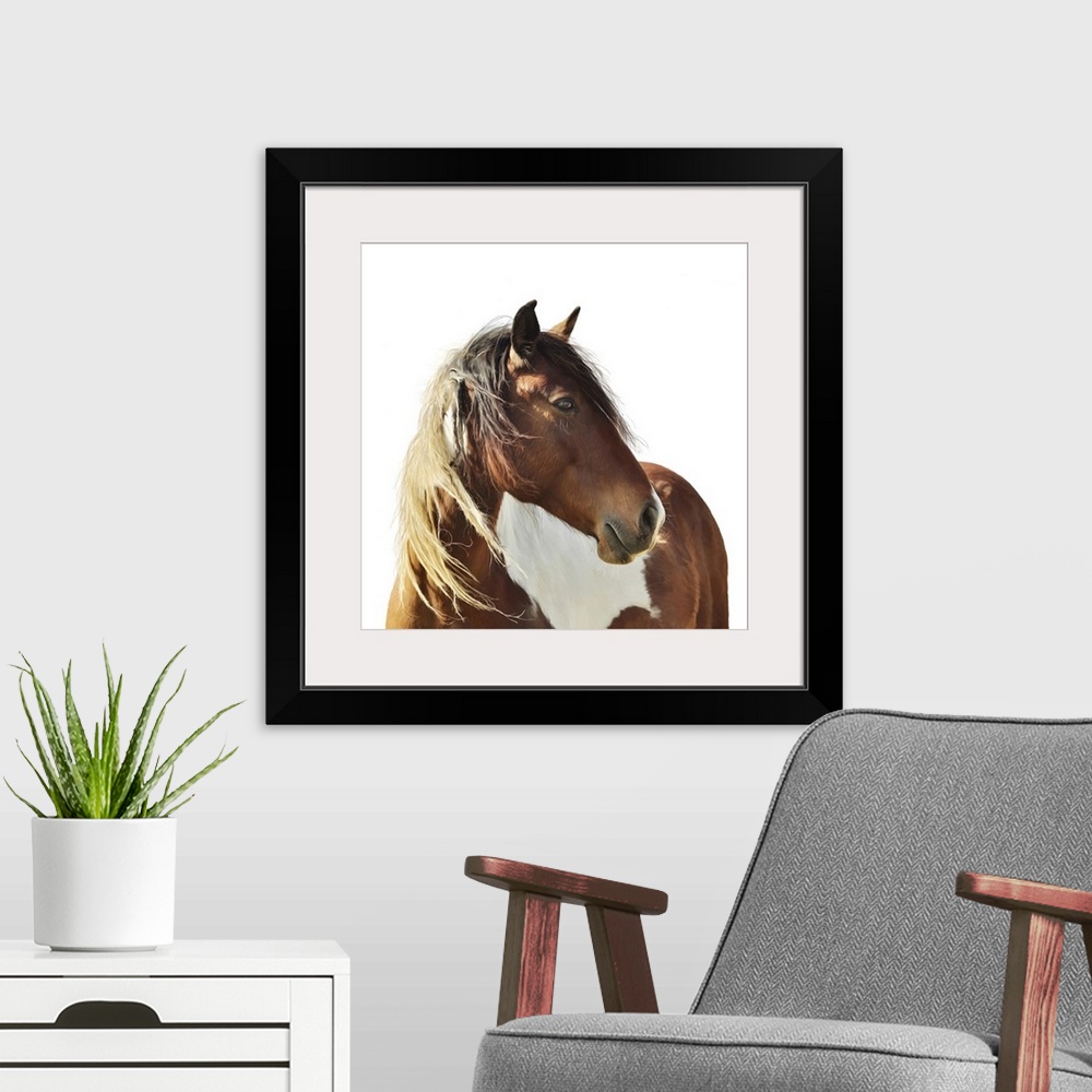 A modern room featuring Originally a digital painting of paint horse on white background.