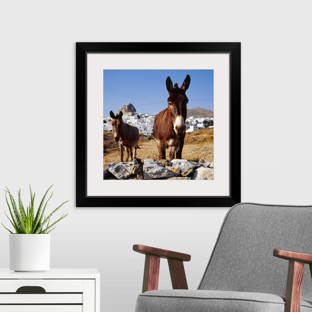 A modern room featuring Greece, Cyclades, Amorgos, Donkeys and Hora town in background