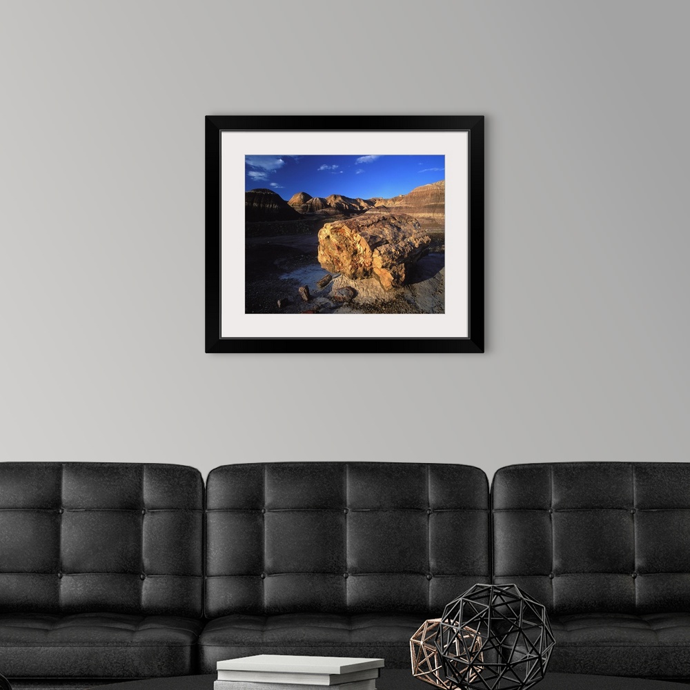 A modern room featuring United States, Arizona, Petrified Forest National Park, petrified wood in Blue Mesa Area
