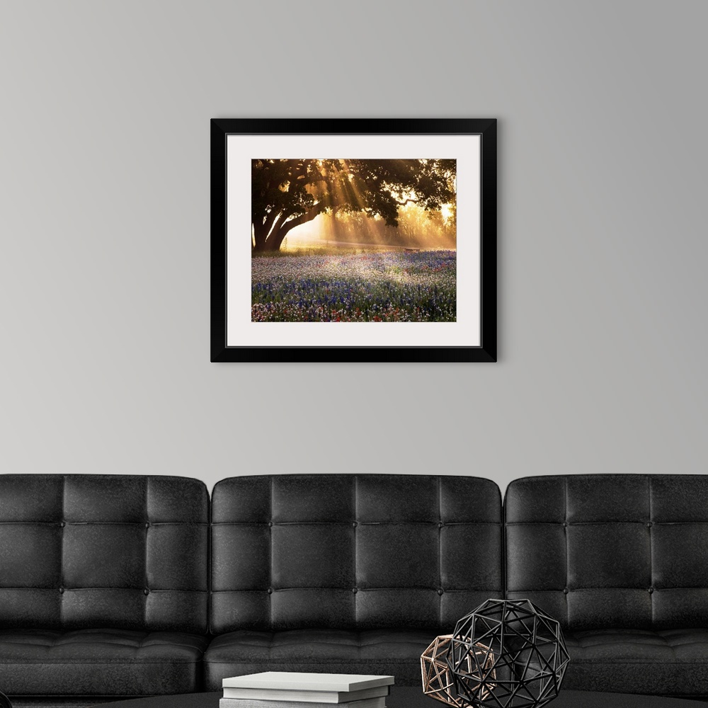 A modern room featuring Morning Meadow Sunrise
