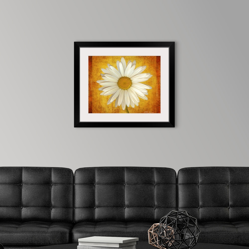 A modern room featuring A close up photograph of a blossom collaged on to a textured background.