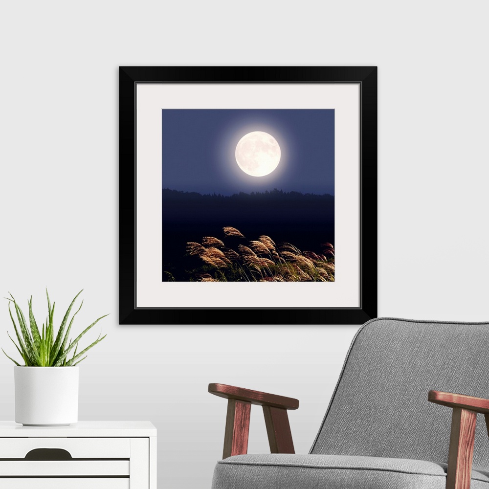 A modern room featuring Full moon and Japanese silver grass, long exposure