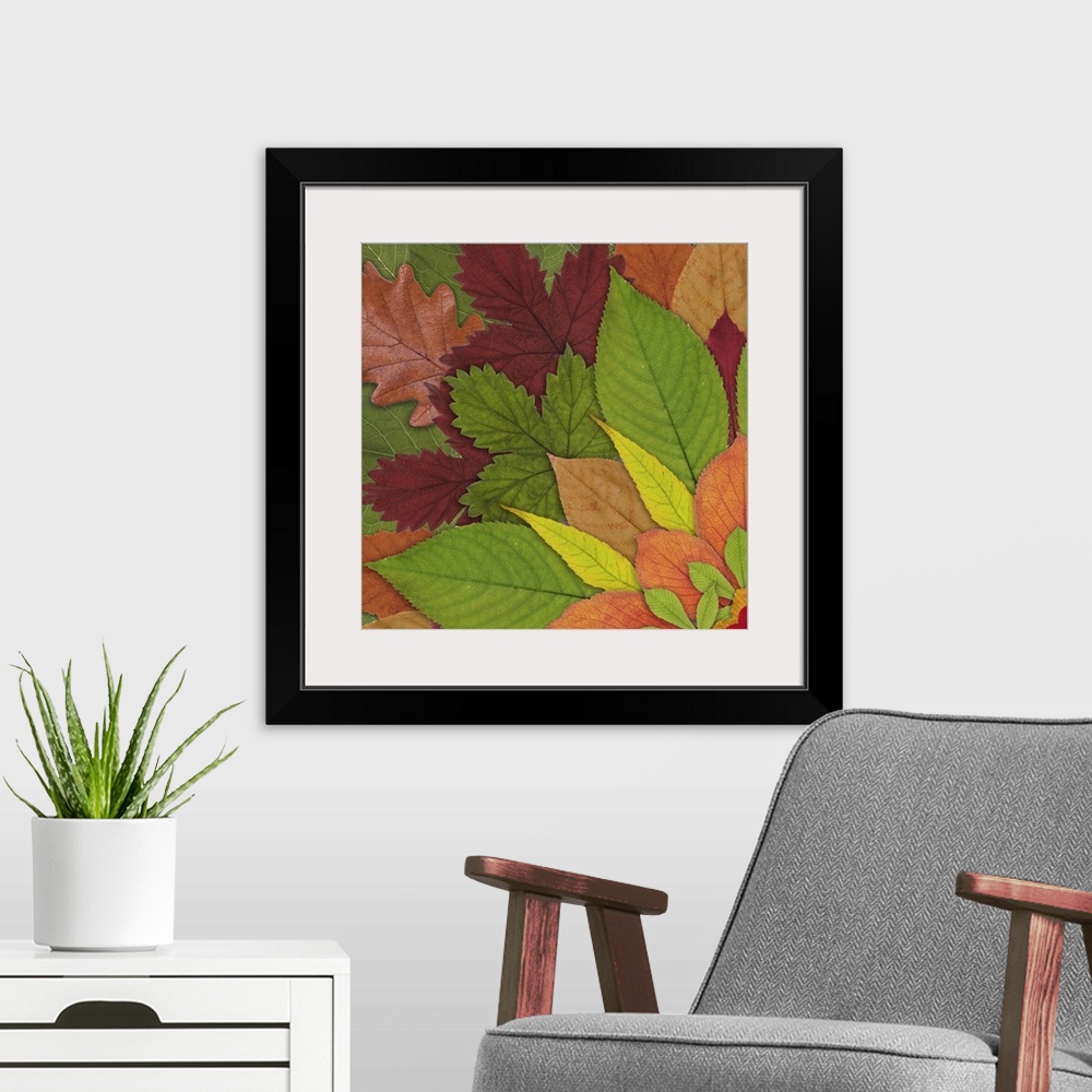 A modern room featuring Fall Leaf Mandala 1