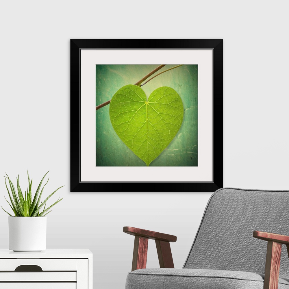A modern room featuring This decorative accent is a photograph of single leaf shaped like a heart on a twig against an ou...