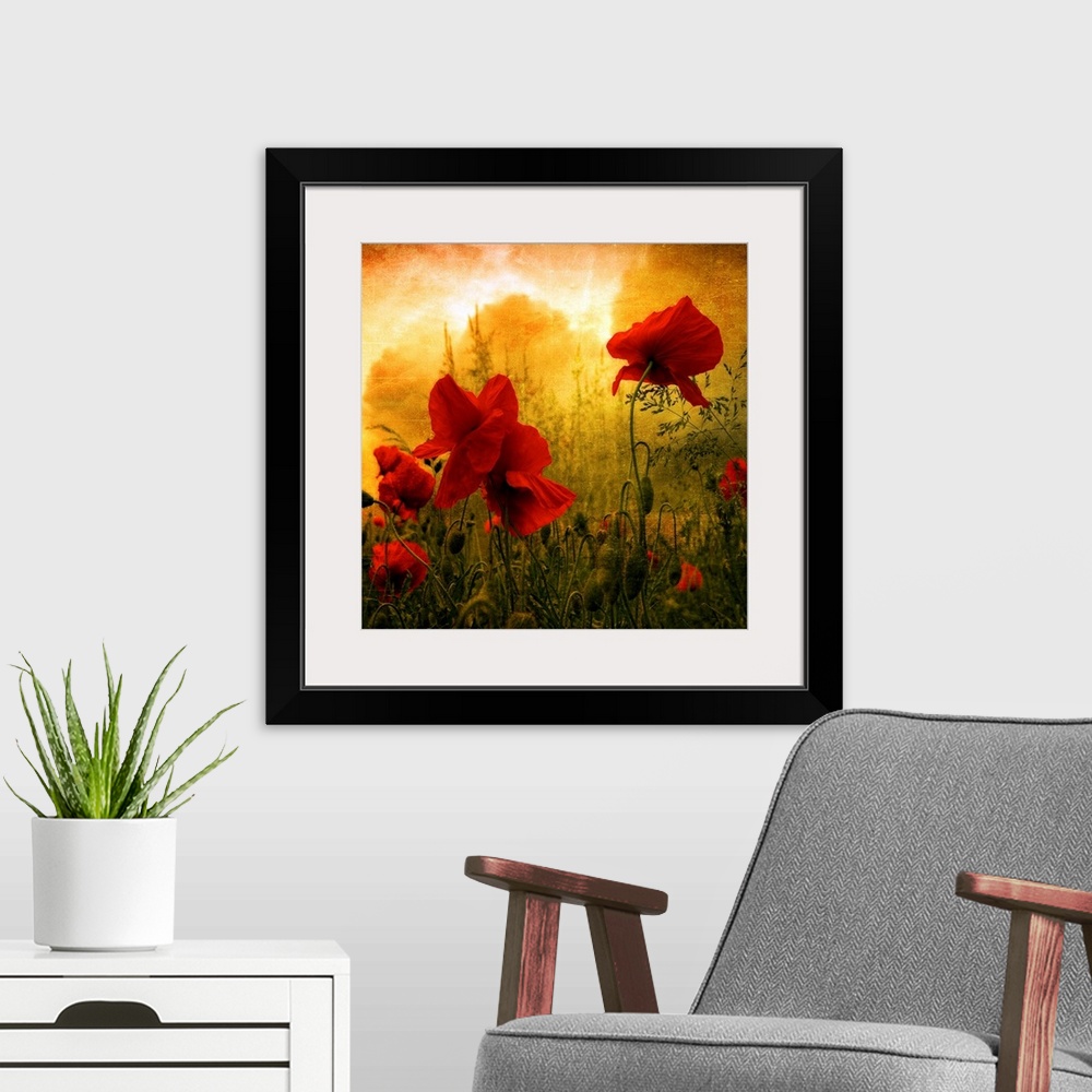 A modern room featuring Giant square photograph composed of a close-up shot of colorful flowers near a forest.