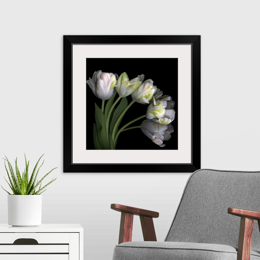 A modern room featuring Pale pink tulip bouquet