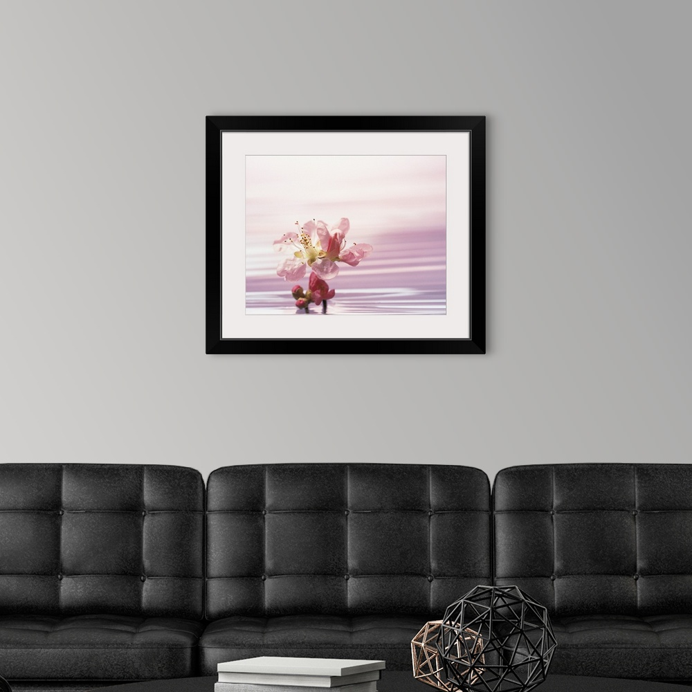 A modern room featuring Flower standing in pink water