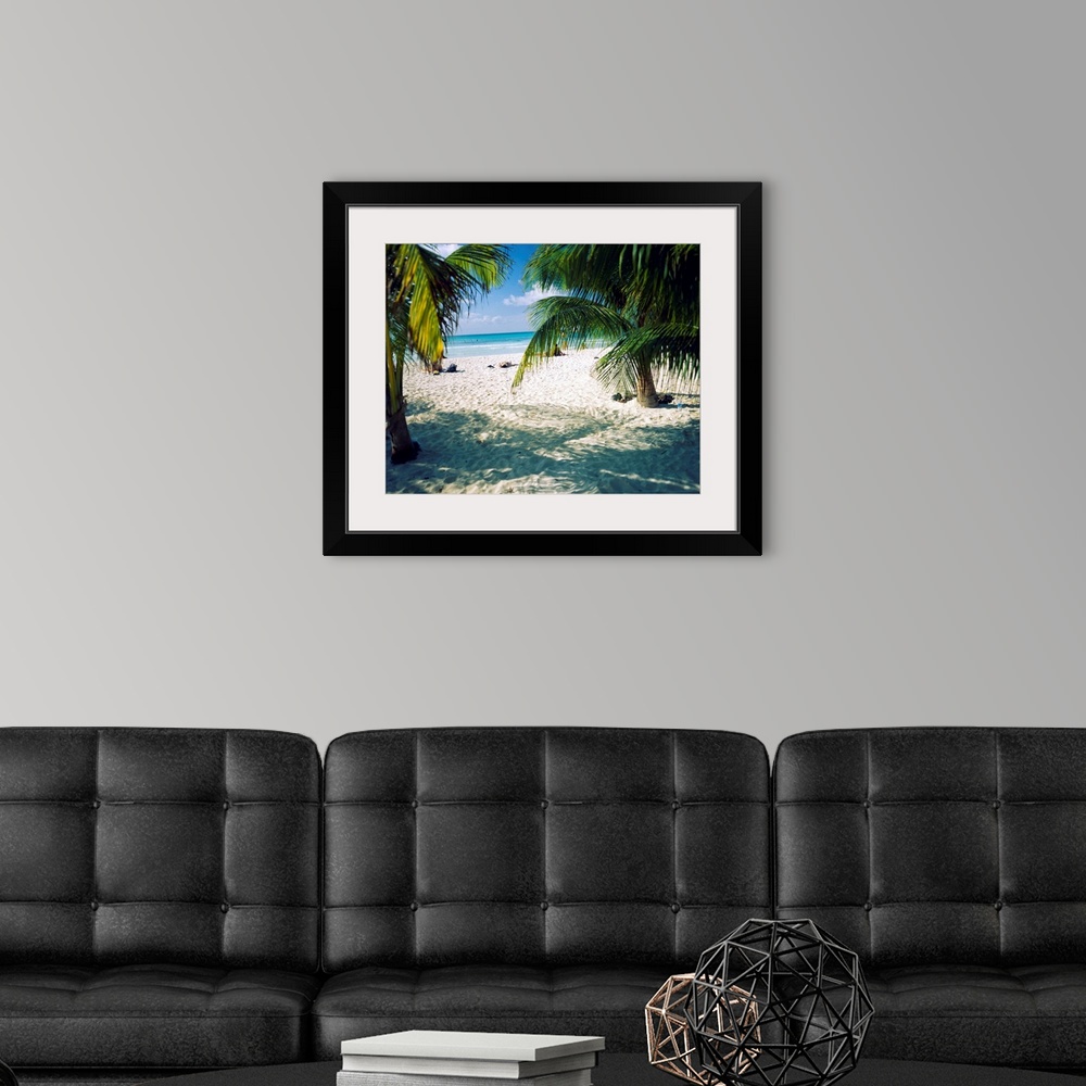 A modern room featuring Huge photograph displays the view of a sandy beach and ocean through the fronds of a few tropical...
