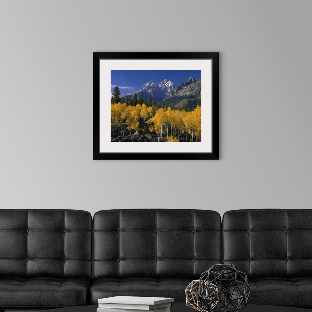 A modern room featuring Large canvas photo art of rugged pointy mountains with golden trees in the foreground.