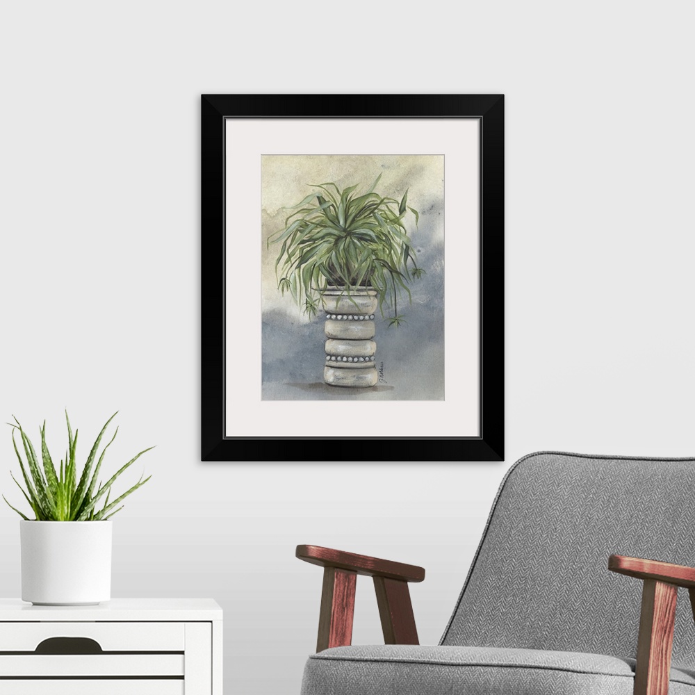 A modern room featuring Spider Plant In Pottery