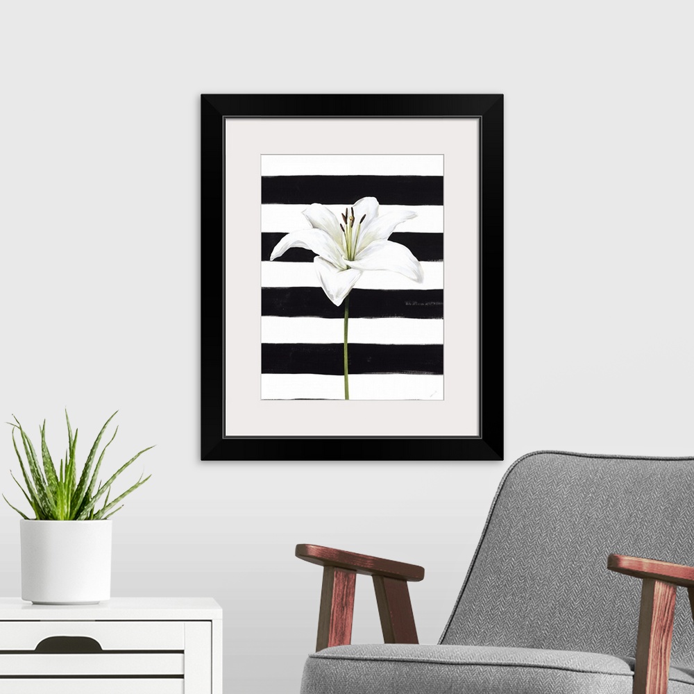 A modern room featuring A single white lily over a black and white striped background.