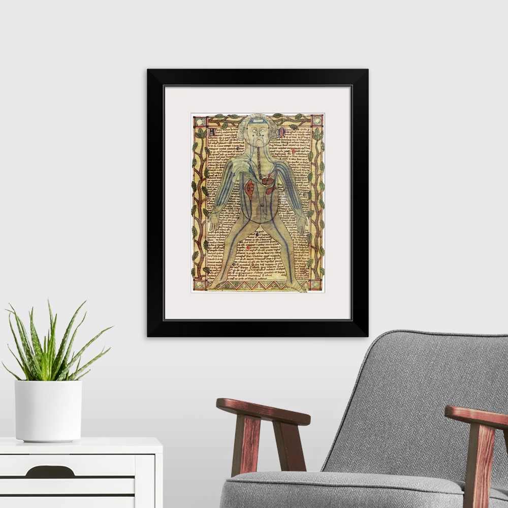 A modern room featuring Circulatory system. Historical artwork of a human figure with internal organs and blood vessels s...