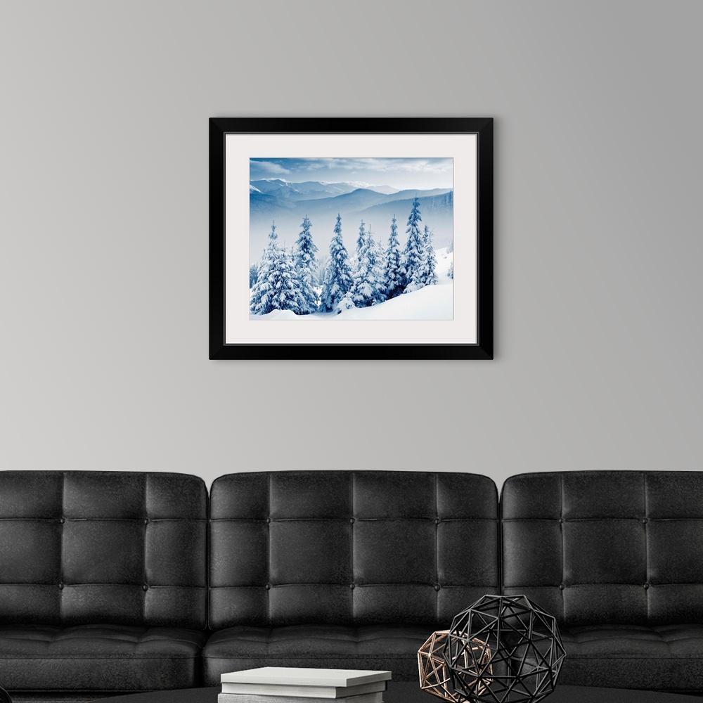 A modern room featuring Beautiful winter landscape with snow covered trees