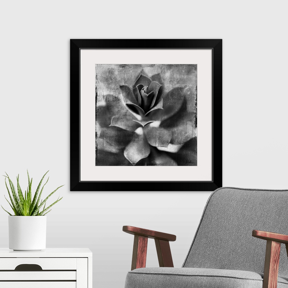 A modern room featuring Black and white artwork of a succulent plant with textured accents.