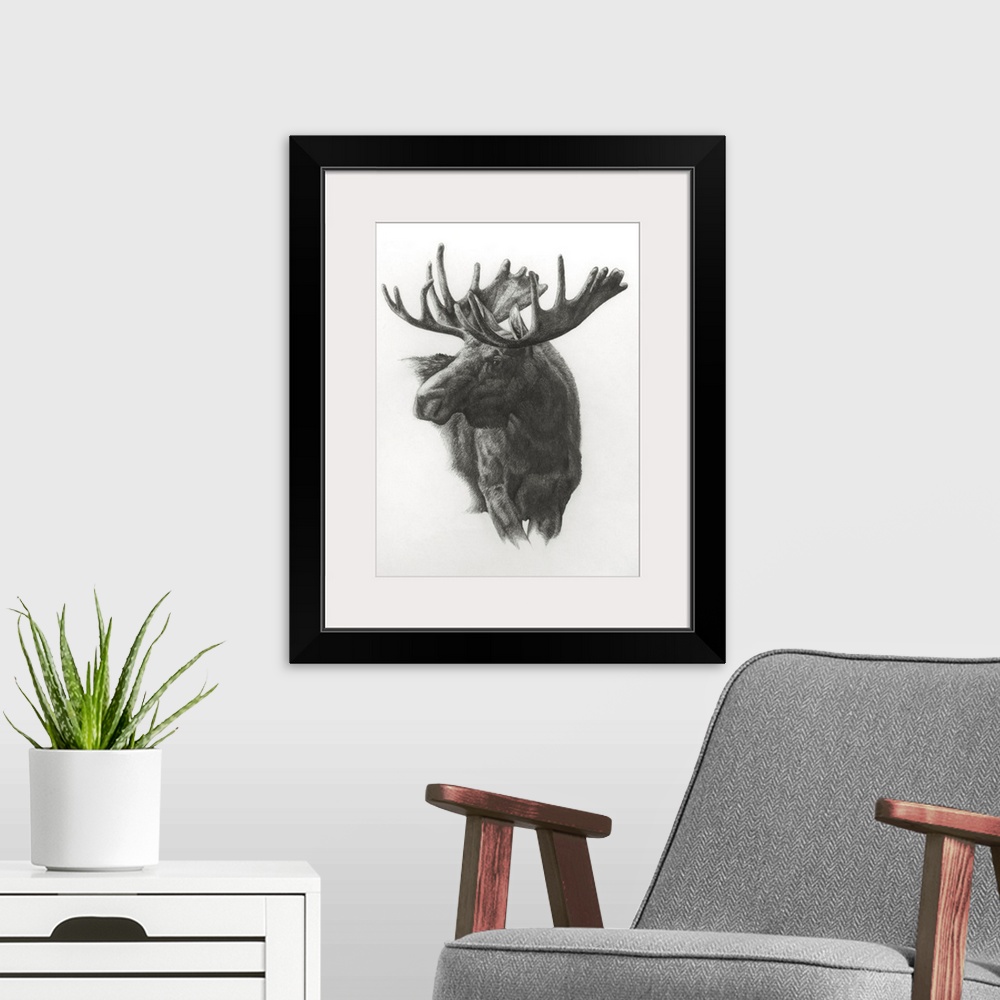 A modern room featuring Moose