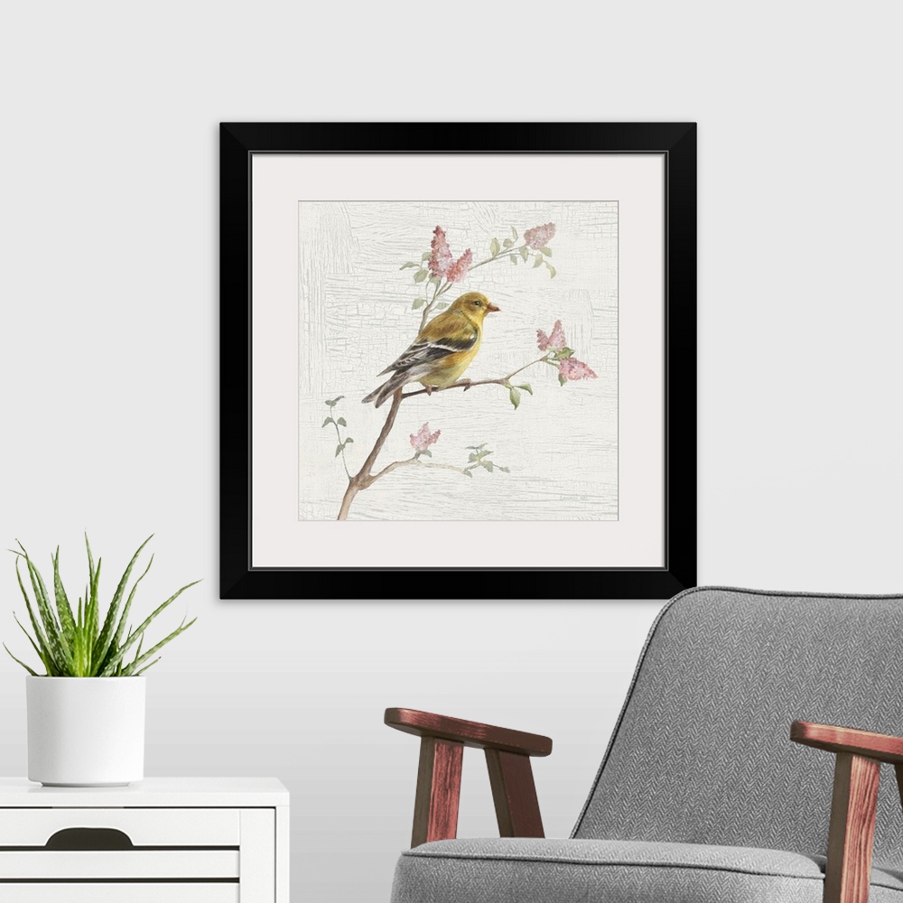 A modern room featuring Square vintage illustration of a female Goldfinch perched on a branch with flowers on a texture w...