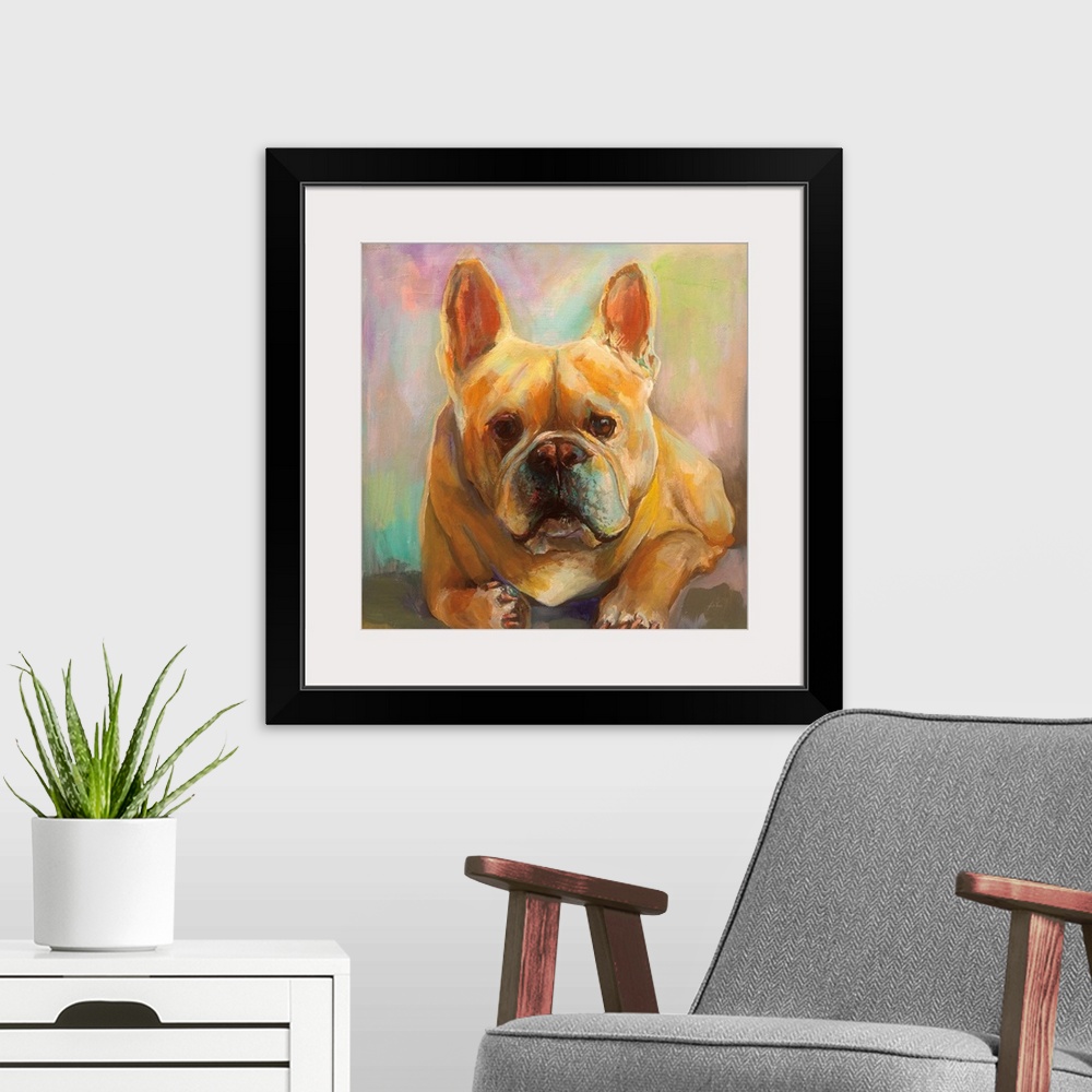 A modern room featuring Frenchie