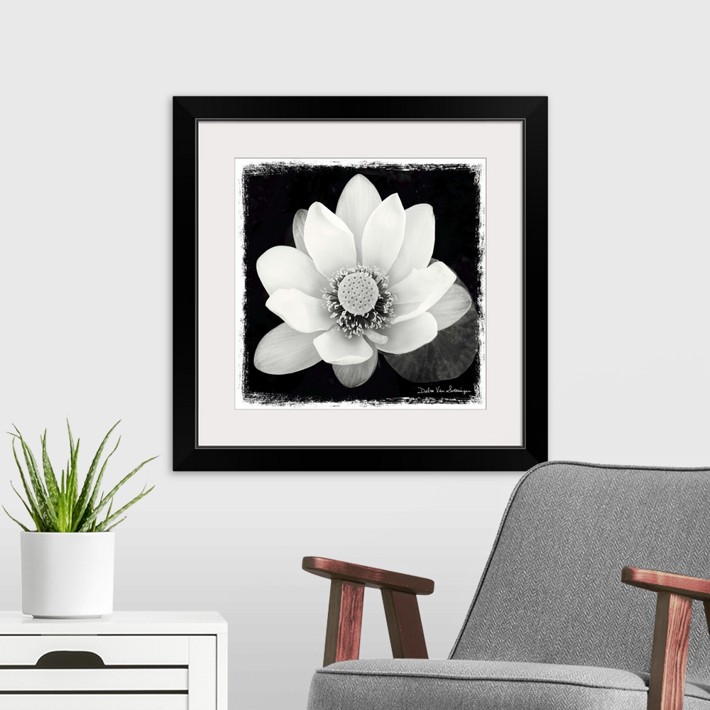 A modern room featuring A black and white photograph of a white flower, with and artistic border around it.