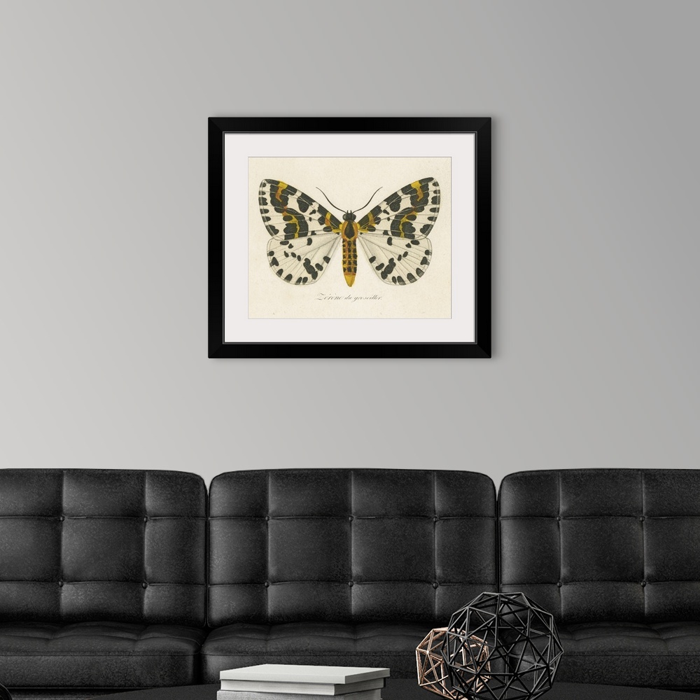 A modern room featuring Natures Butterfly IV