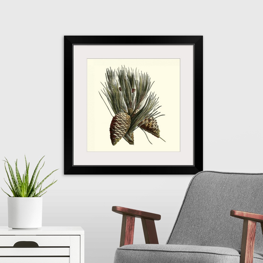 A modern room featuring Contemporary artwork of a pine cone on the end of a branch in a vintage illustrative style.
