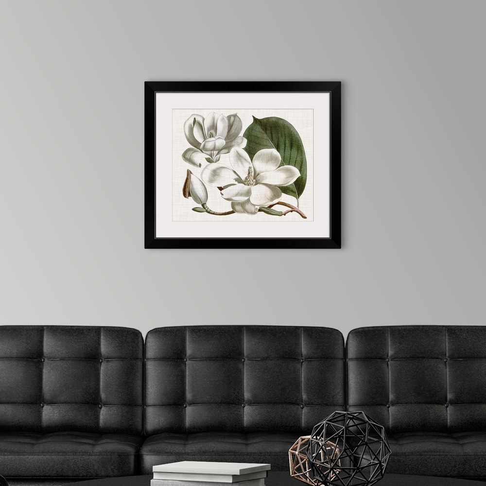 A modern room featuring Vintage-inspired botanical illustration of a magnolia flower.