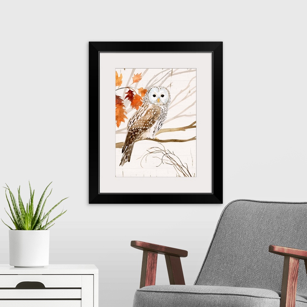 A modern room featuring Harvest Owl I