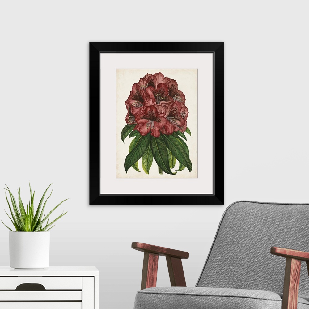 A modern room featuring Rhododendron Study I