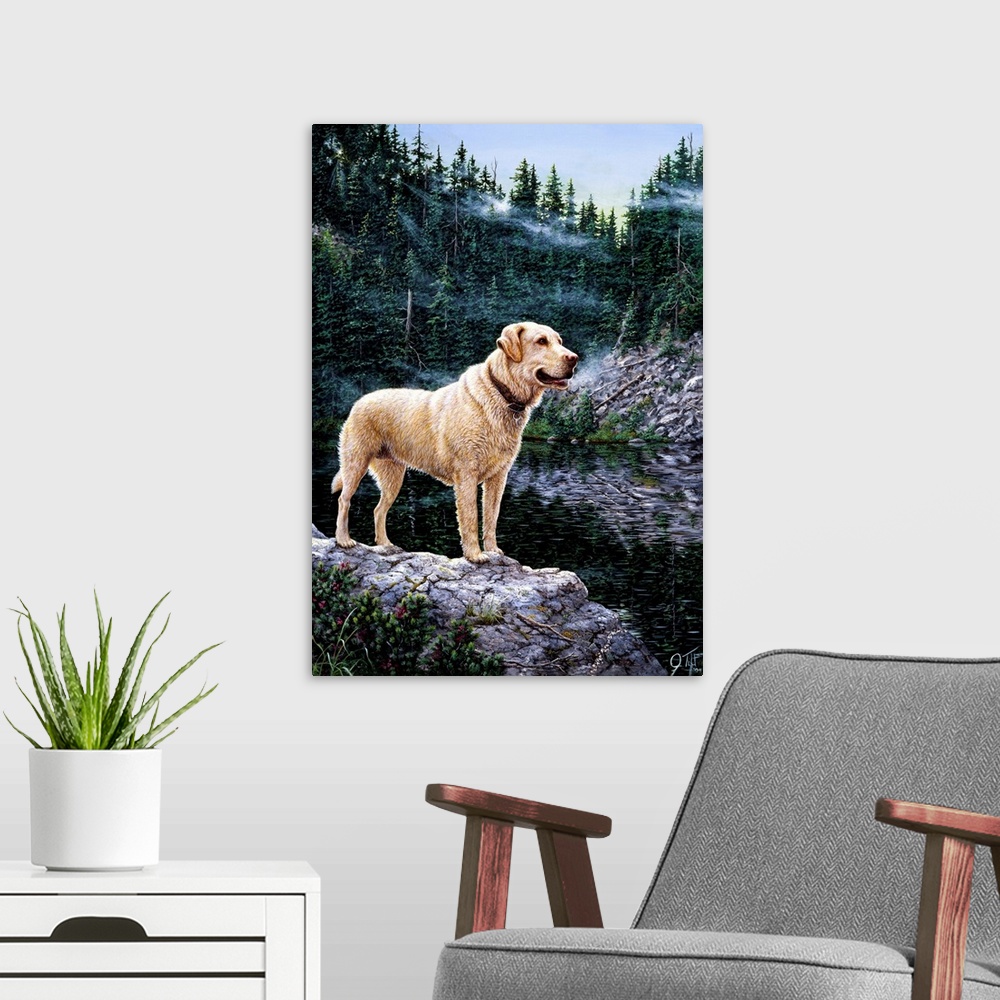 A modern room featuring A golden lab standing on a ledge.dog
