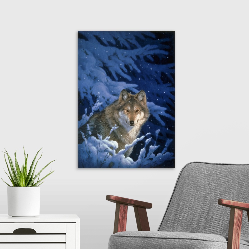 A modern room featuring A wolf comes out from under a snow-covered pine tree.